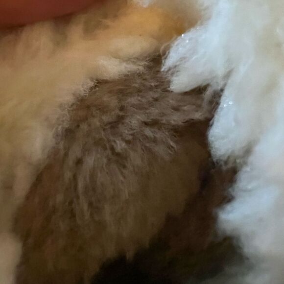 Women’s Suede & Sheepskin style
Gloves Sz Medium NEW - Picture 11 of 16